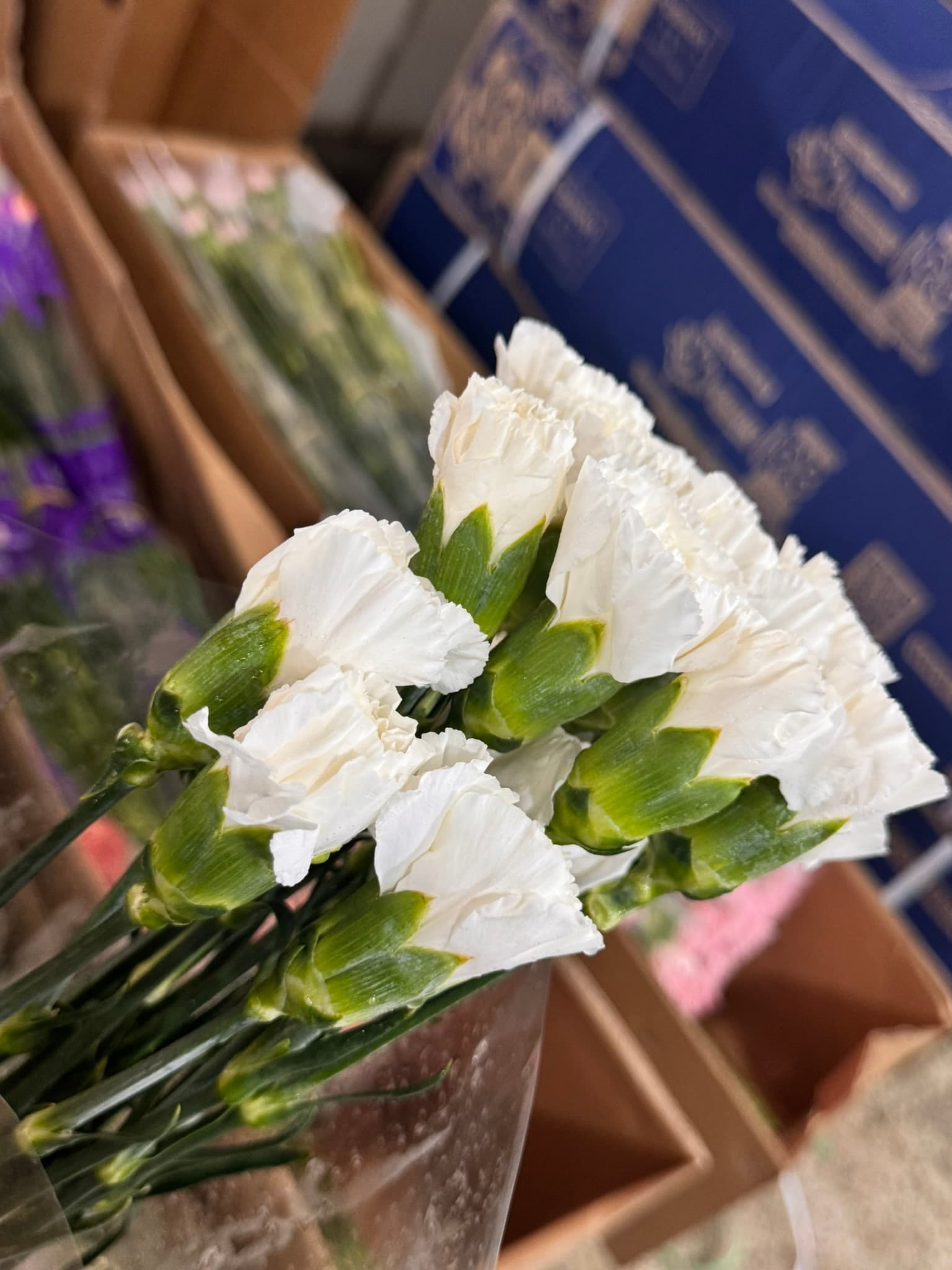 문나이트 2